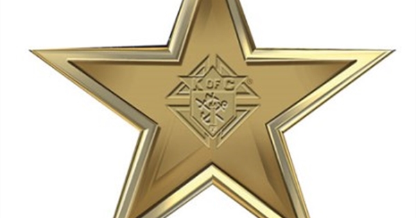 Directors receive pins for help with making star council