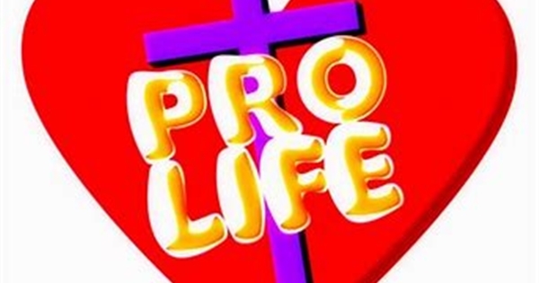 The Rise of Euthanasia