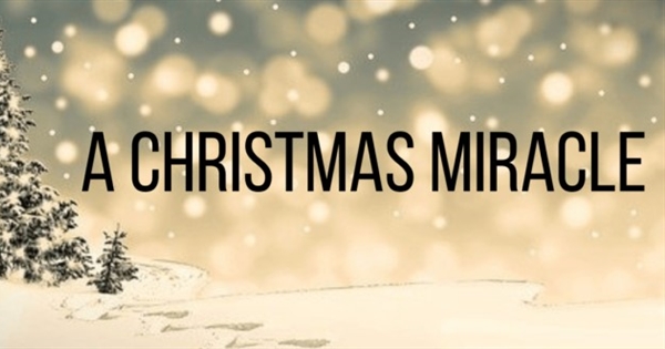 Need a Christmas Miracle? 